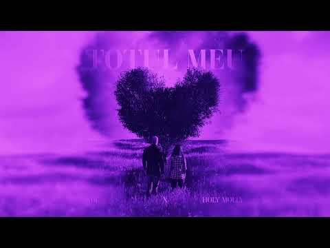 ADI x Holy Molly - Totul meu (Speed-up Version) | NIGHTCORE Remix