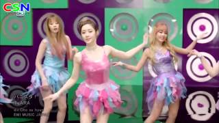 Bunny Style - T-Ara [MP4 HD 1080p]