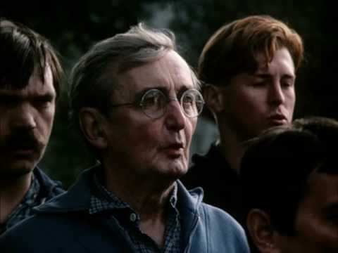 Dobří holubi se vracejí