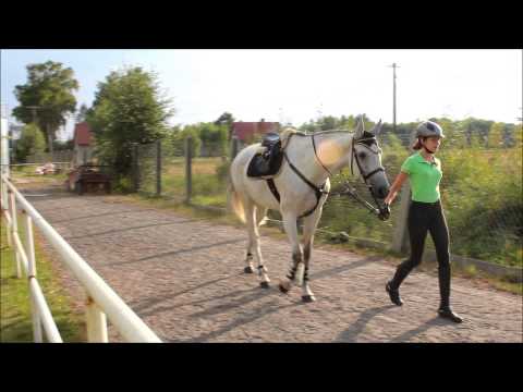 Stajnia Celinów Gabi & Dekor