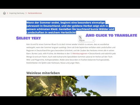 Item video thumbnail