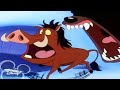 Timon Pumbaa Season 1x17A Rocky Mountain Lie Full Episode