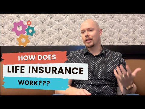 How Does Life Insurance Work? A Complete Guide for Beginners
