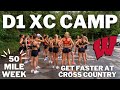 Run 50 Miles W Me At Wisconsin D1 Cross Country Camp
