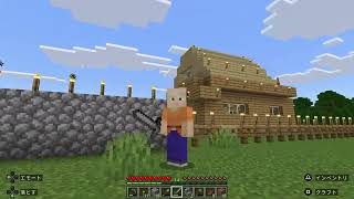 年金生活者のマイクラ生活　お城の土台を造ります