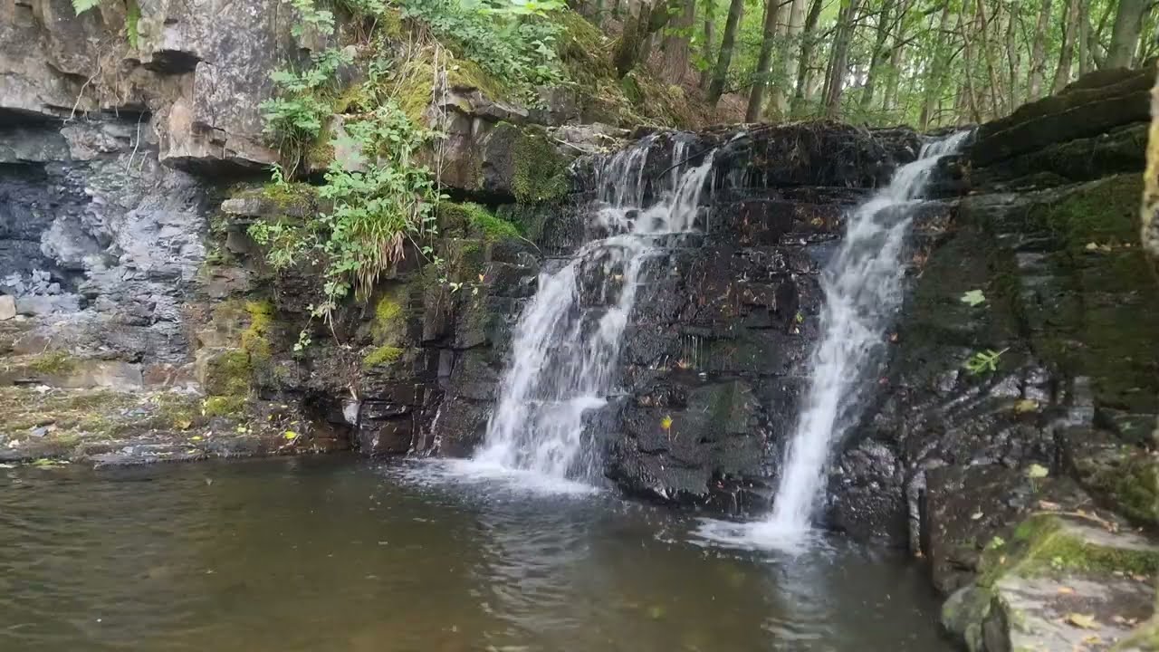 Peaceful Forest Waterfall | ASMR Relaxing water sounds