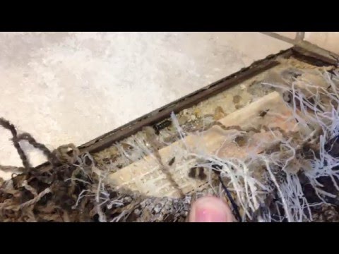 Quality Inn and Suites at Metro Center - Bad Hotel! (Phoenix, Arizona)