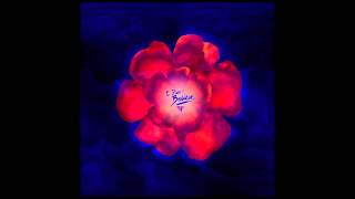 Flight Facilities - I Didn&#39;t Believe feat. Elizabeth Rose (Lou Teti Remix)