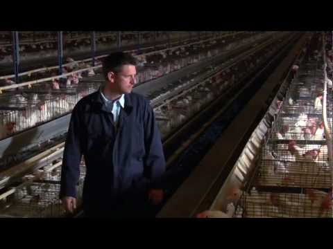 BC Egg Producers Talk