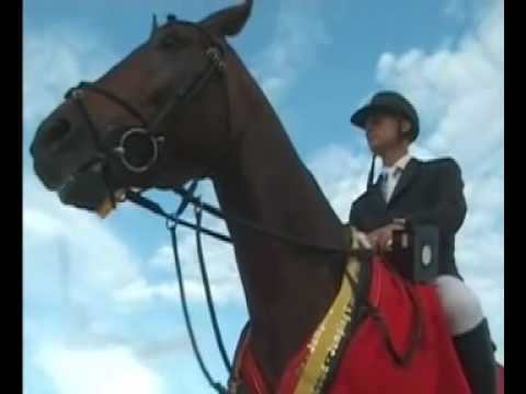 Championnat Belgique Jeunes Chevaux 2007 - Remise des prix