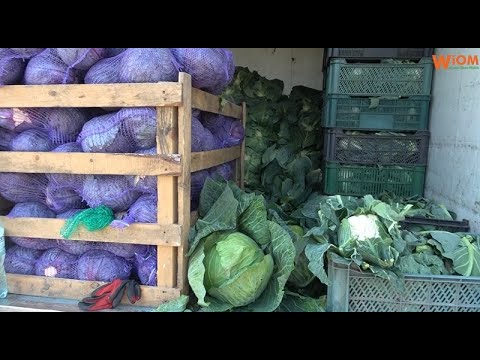 Bronisze: pogoda ogranicza podaż warzyw. Wyjątkowo drogie ogórki i rzodkiewka