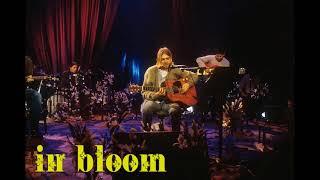 Nirvana - In Bloom (MTV Unplugged)