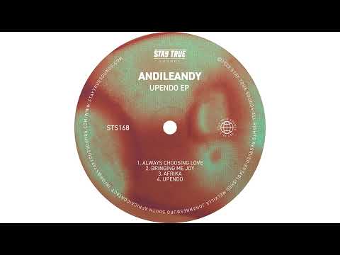 AndileAndy - Bringing Me Joy