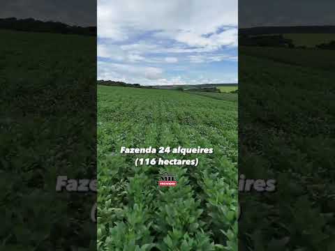 🍀Fazenda extra 24 alqueires (116 hectares) Orizona-GO Potencial irrigação!! #fazendasavenda #agro