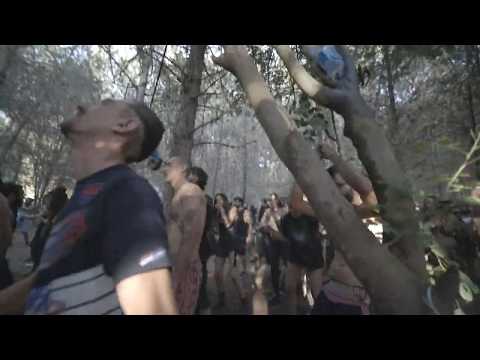 Psynonima - Mushroom Project -2019