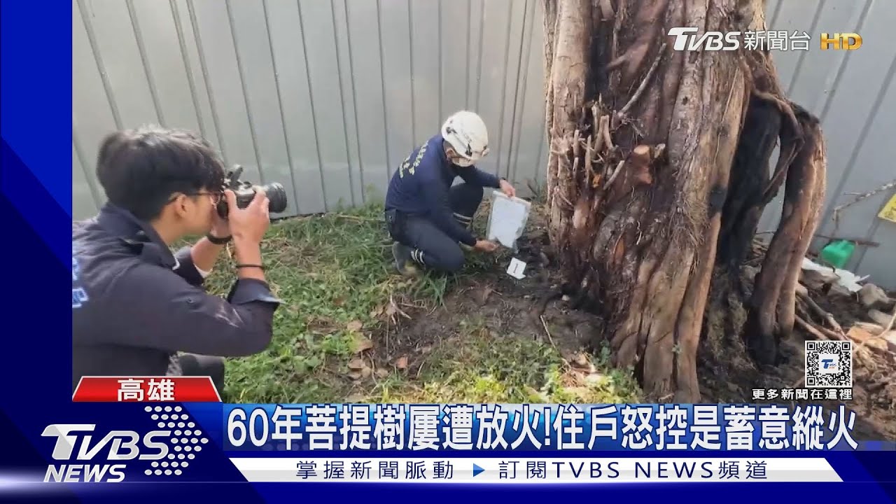 疑樹大「礙眼」!6度遭人潑油、蓋監視器燒 嫌辯:燒螞蟻