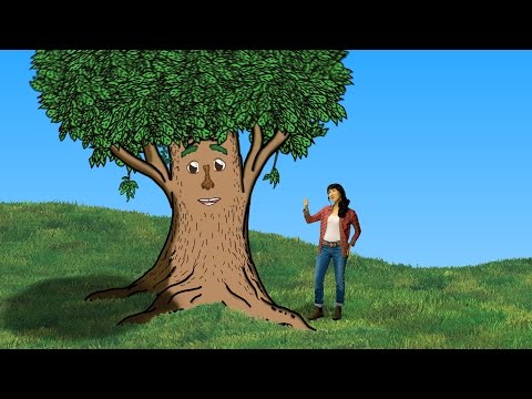 Ginalina - Parts of a Tree | Music Video