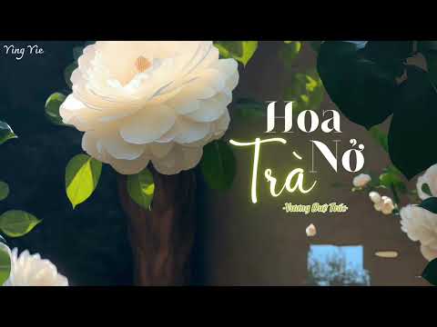 [Vietsub] Hoa Trà Nở Rồi - Vương Duệ Trác / 茶花开了 - 王睿卓