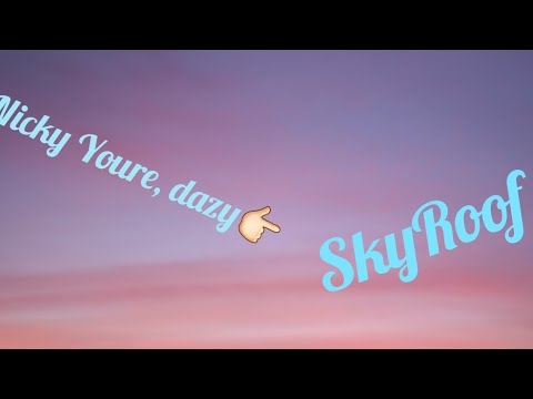 Nicky Youre, dazy - SkyRoof (Audio)