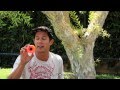 Orangatang Wheel Talk Stimulus Japanese Subtitles