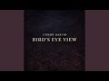 Bird S Eye View