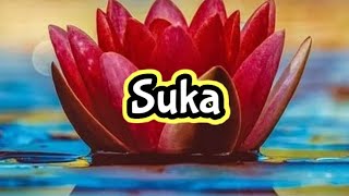 Download lagu Story Wa || Literasi 30 Detik Islami #13 || 'jika menyukai sesuatu' (Ahmad Bin Hambal) mp3