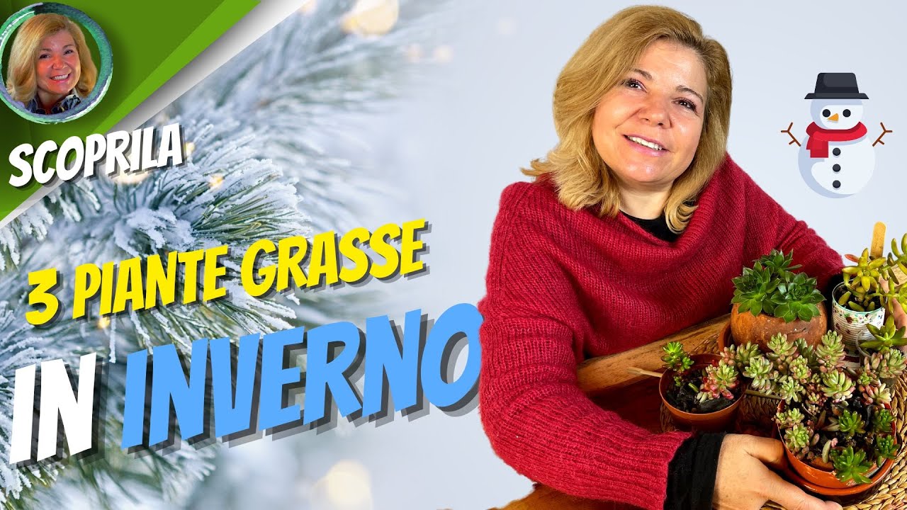3 PIANTE GRASSE da avere in INVERNO - The Best 3 Succulent Plants for Winter