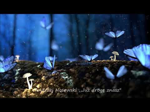 ANDRZEJ NOSOWSKI Już Drogę Znasz