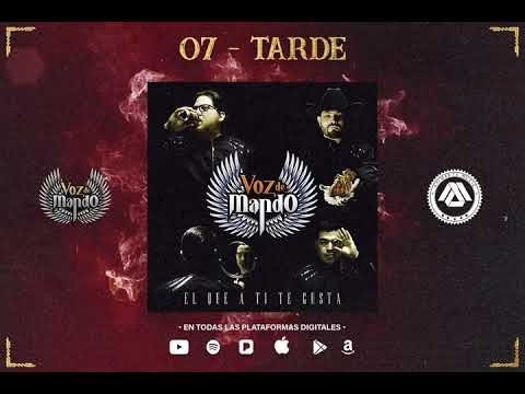 Tarde - Voz de Mando