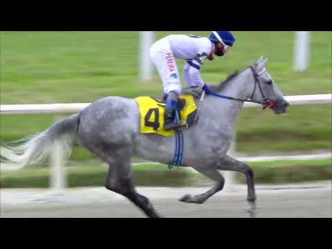 220206 c03 -  Clásico Los Haras - HIPODROMO MAROÑAS - PEPPER MILL (ARG)