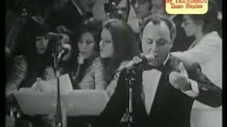 Serenata Maliosa Lyrics English Translation