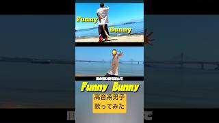 Funny Bunny(cover) #歌ってみた #高音系男子 #歌い手 #vtuber #funnybunny #thepillow