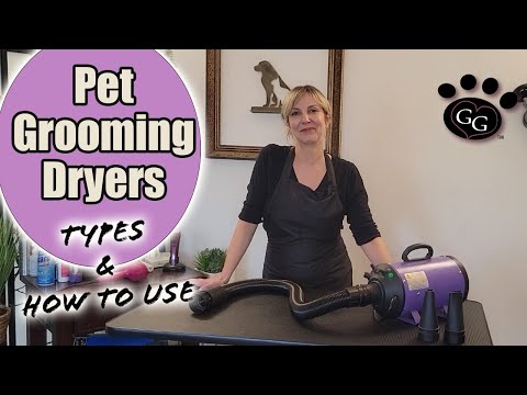 Pet Grooming Dryers - Types and How to use PLUS Field...