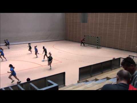 Sachsen (HVS) vs. Sachsen-Anhalt (HVSA)