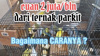 Download lagu TERNAK PARKIT/// CUAN 2 JUTA/bulan dari ternak parkit mp3