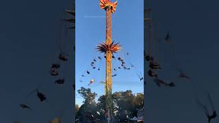 The Ride's Rope Broke