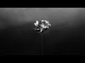 Little Simz Enough Feat Yukimi Official Audio