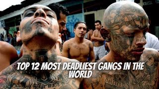 TOP 12 MOST DEADLIEST GANGS IN THE WORLD 🌎