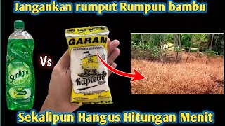 Download lagu Why Not Before?! All Farmers Need This Method, No Need to Buy Weedicide mp3