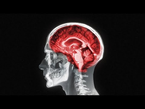 How to unf*** your brain