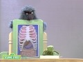 Sesame Street What S Inside Herry