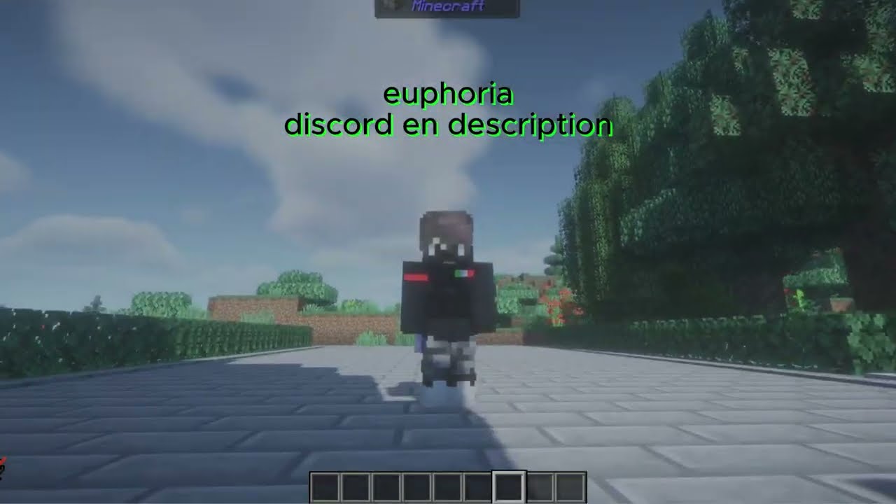 Aperçu vidéo de Euphoria 1.21.6 Modde