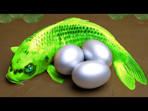 Green Fish Carp Eel - Stop Motion Mukbang Colorful Cute Koi Funny Cooking Competition Cuckoo