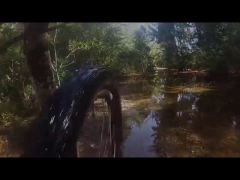 GoPro Oleta River State Park MTB Compilation