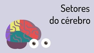 CONHEÇA OS SETORES DO CÉREBRO