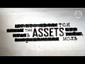 The Assets [ABC TV]