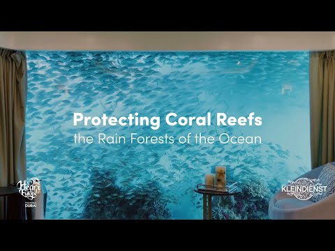 The Heart of Europe - Discover what The Coral Institute does to protect coral reefs.
