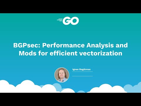BGPsec: Performance Analysis and Mods for Efficient Vectorization - Ignas Bagdonas - Go x Rust: 2022