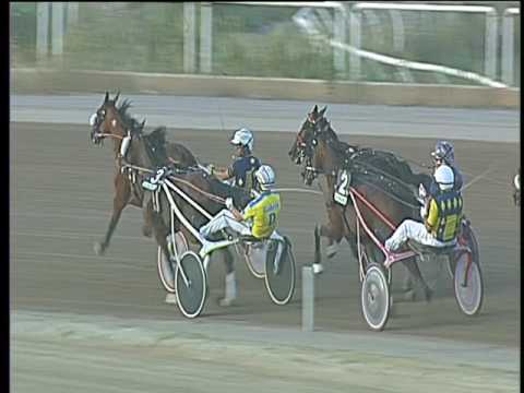 Trotto 22/07/2017 - 1ª corsa