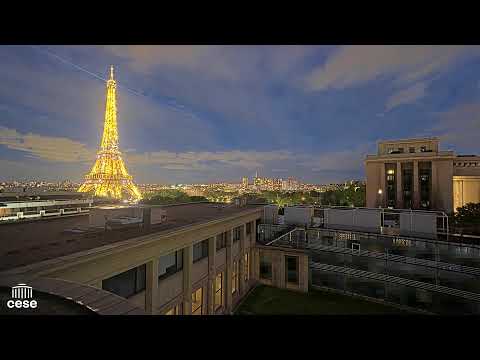 Webcam Palais d’Iéna - Conseil Économique, Social et Environnemental - Vue Tour Eiffel - Paris